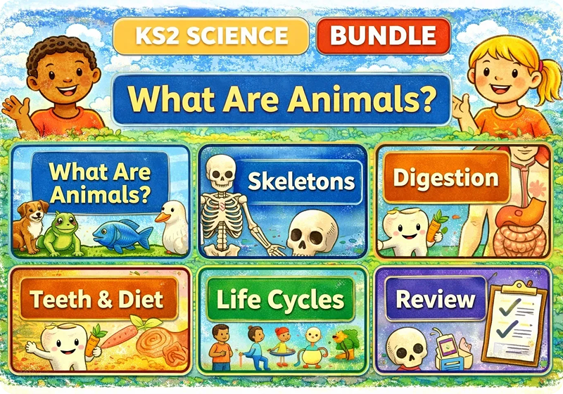 Interactive animal learning modules