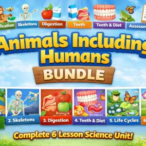 Animals Including Humans KS2 PowerPoint Bundle – Complete 6 PowerPoints Lessons Science Unit