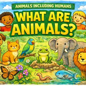 Ks2 Science What Are Animals PowerPoint