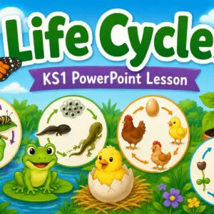 Life Cycles KS1 PowerPoint Thumbnail