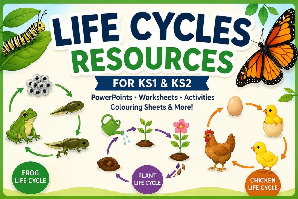 Life Cycles Ks1 Ks2 image thumbnail