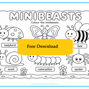 Minibeasts KS1 Free Colouring Printable