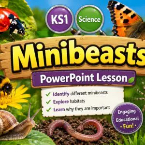 Minibeasts PowerPoint KS1