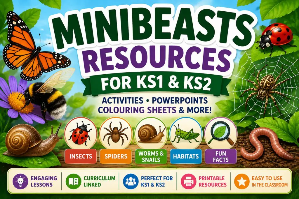 Minibeasts Page thumbnail