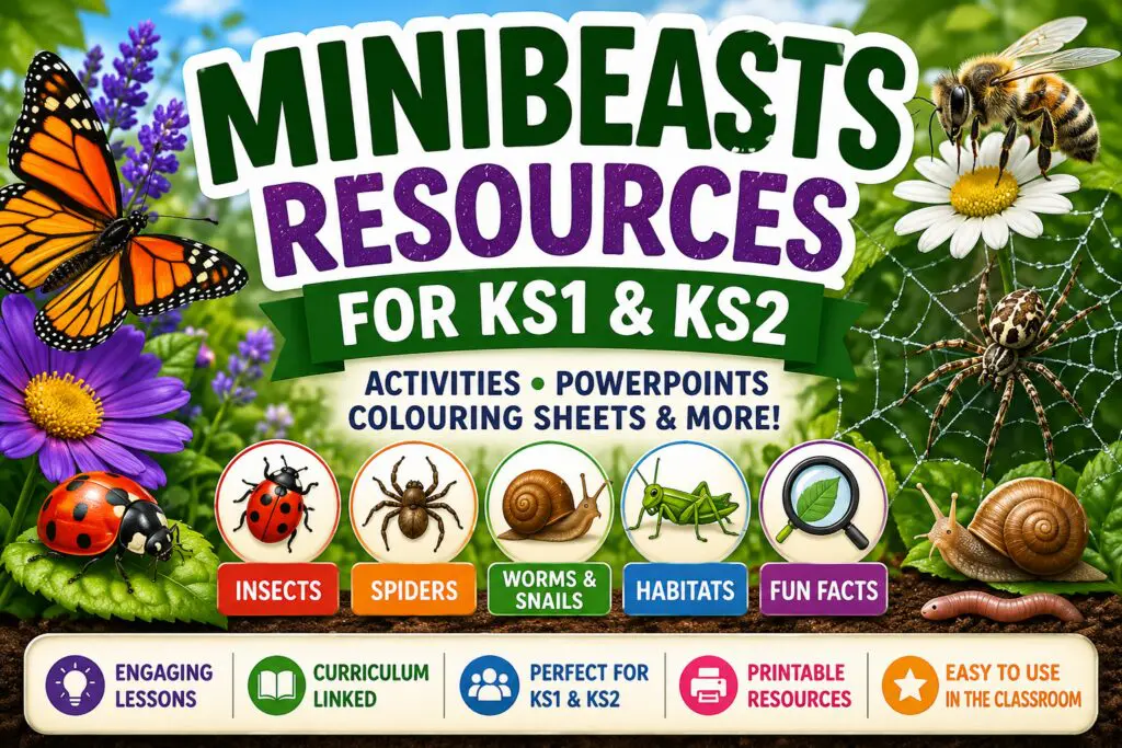 minibeasts page thumbnail1