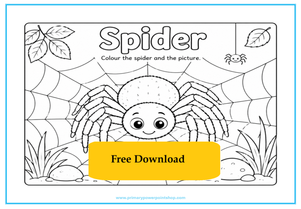 minibeasts spider free colouring printable