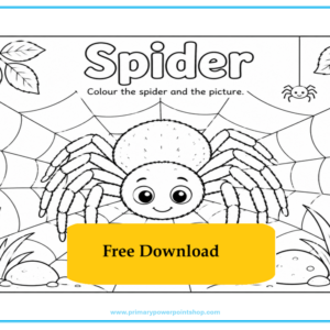 minibeasts spider free colouring printable