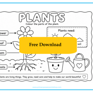 Plants KS1 Free Colouring Printable