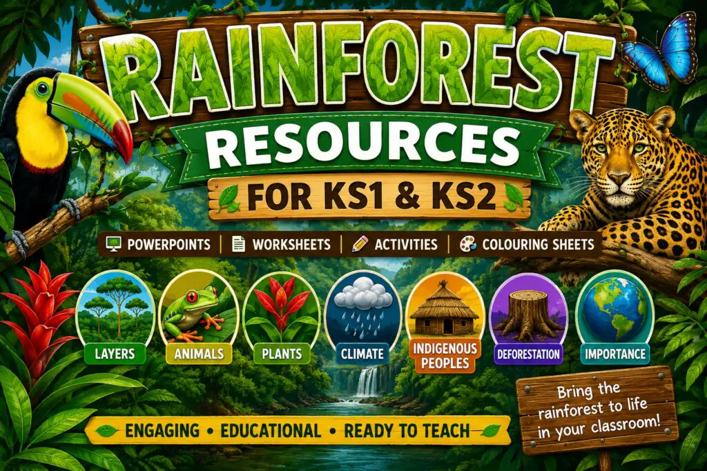 Rainforest Page thumbnail