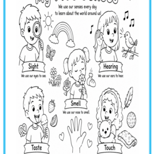 The 5 Senses Free Colouring Printable Thumbnail Image